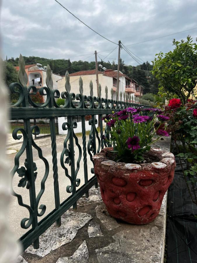 Dionysus Apartments & Studios Szívota Kültér fotó